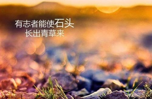 做微商賺不到錢(qián)？你是不是犯了這個(gè)錯(cuò)誤(圖1)