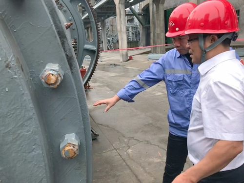 王大真到松滋肥業(yè)、楚星公司和TMP項目現(xiàn)場檢查工作(圖2)