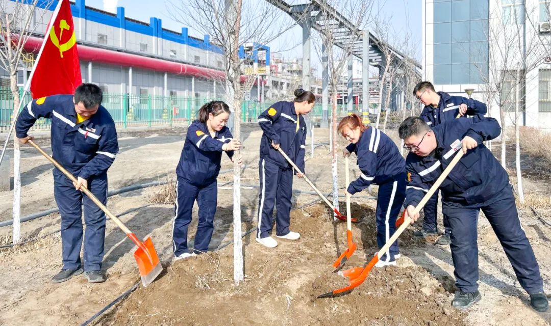“植”此青綠共“樹”未來(lái)！集團(tuán)各公司開展植樹活動(dòng)(圖18)