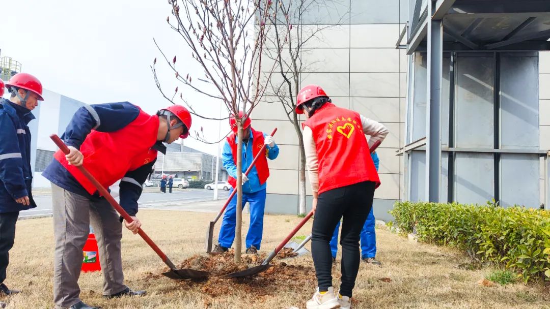 “植”此青綠共“樹”未來(lái)！集團(tuán)各公司開展植樹活動(dòng)(圖24)