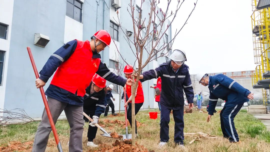 “植”此青綠共“樹”未來(lái)！集團(tuán)各公司開展植樹活動(dòng)(圖26)