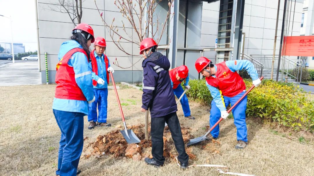 “植”此青綠共“樹”未來(lái)！集團(tuán)各公司開展植樹活動(dòng)(圖25)