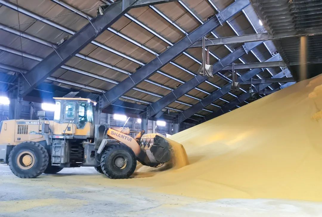 股份公司磷銨分廠：優(yōu)化生產(chǎn)提質(zhì)量，深挖潛力創(chuàng)效益(圖3)