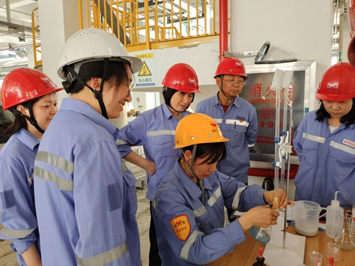 亮身份 亮承諾 亮業(yè)績——宜化黨員一線攻堅(jiān)助推項(xiàng)目“拔節(jié)生長”