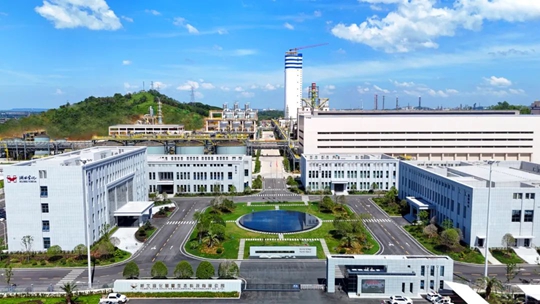 楚星生態(tài)年產40萬噸磷銨、20萬噸硫基復合肥項目竣工投產