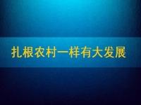 在家能做的兼職正規(guī)可靠，扎根農(nóng)村一樣有大發(fā)展