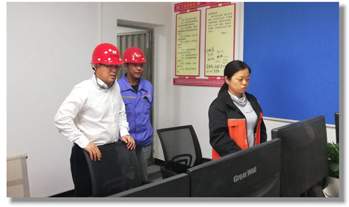 王大真到松滋肥業(yè)、股份公司一線調研