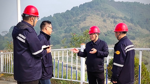 王大真到松滋肥業(yè)、楚星公司、新材料公司和股份公司現(xiàn)場(chǎng)調(diào)研