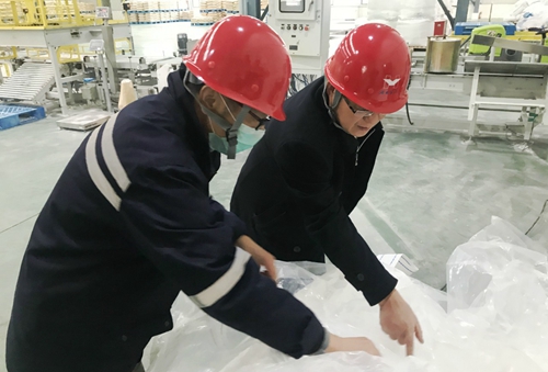 王大真到新材料公司、TPO項目現(xiàn)場和股份公司檢查工作