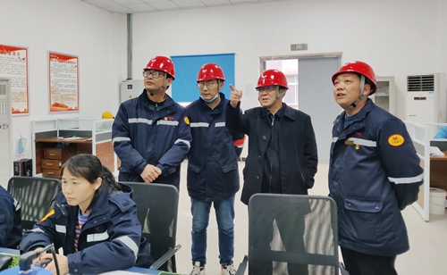 王大真到松滋肥業(yè)、楚星公司現(xiàn)場檢查指導(dǎo)工作