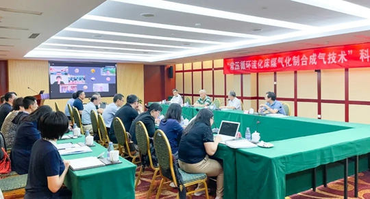 通過鑒定！新疆宜化一項技術(shù)達國際領(lǐng)先水平！